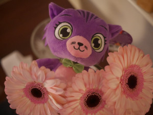 24410787543_7b3f101ffc_k